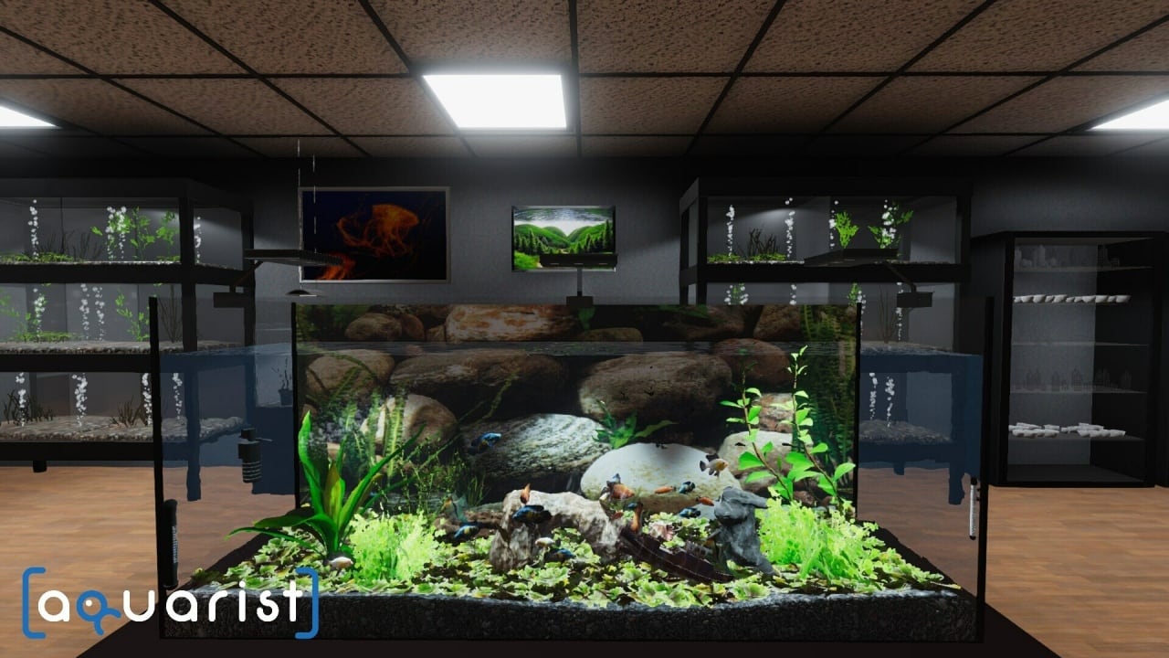 Скриншот Aquarist PC от R.G. Механики
