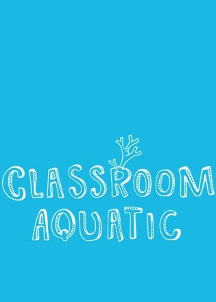 Classroom Aquatic PC от R.G. Механики