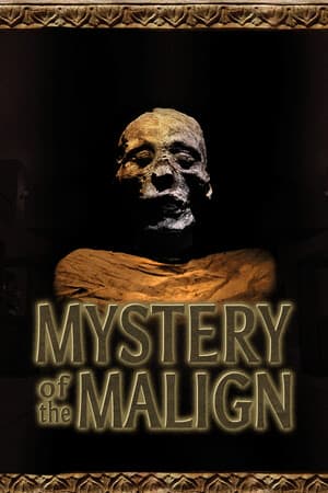 Mystery of the Malign PC от R.G. Механики