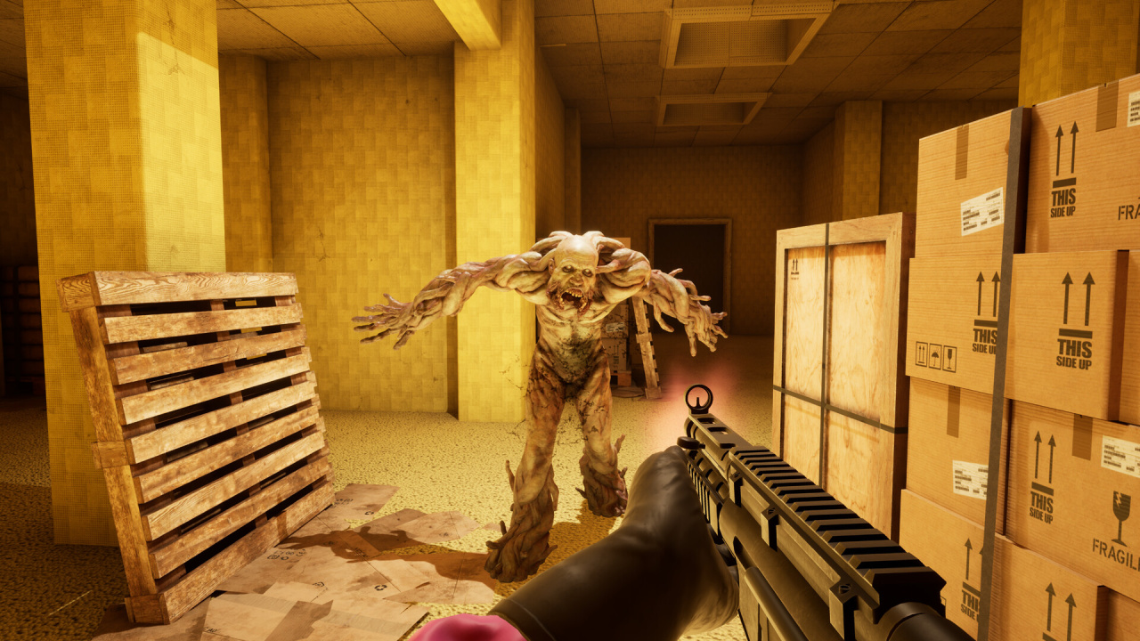 Скриншот BACKROOMS: APPREHENSION PC от R.G. Механики