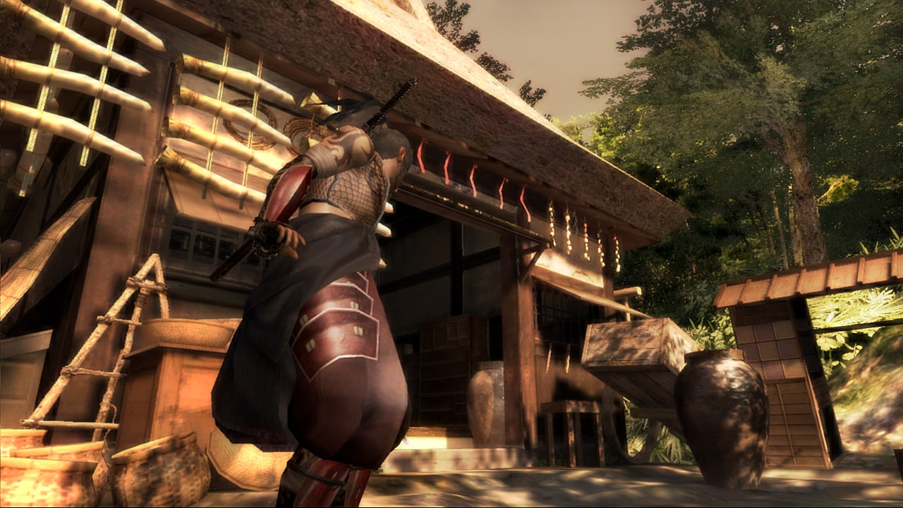 Скриншот Tenchu Z PC от R.G. Механики