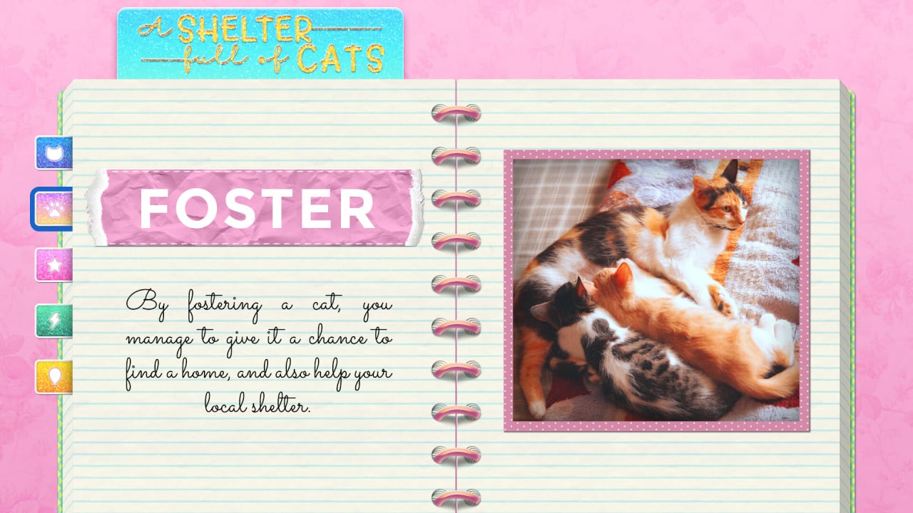 Скриншот A Shelter Full of Cats PC от R.G. Механики
