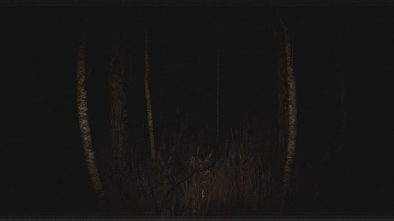 Скриншот Paranormal VHS PC от R.G. Механики