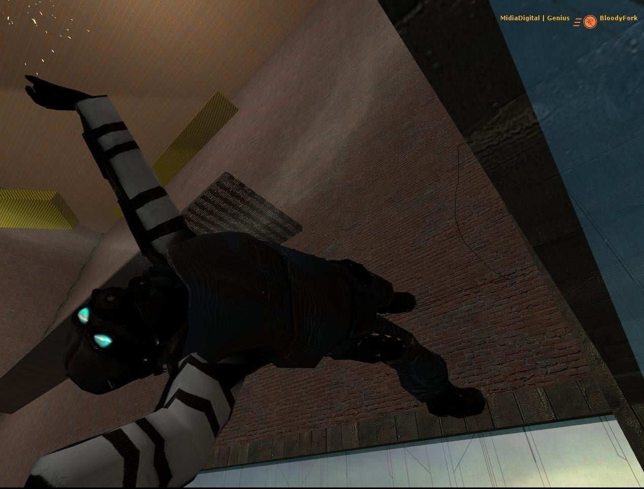 Скриншот Half-Life 2: Deathmatch