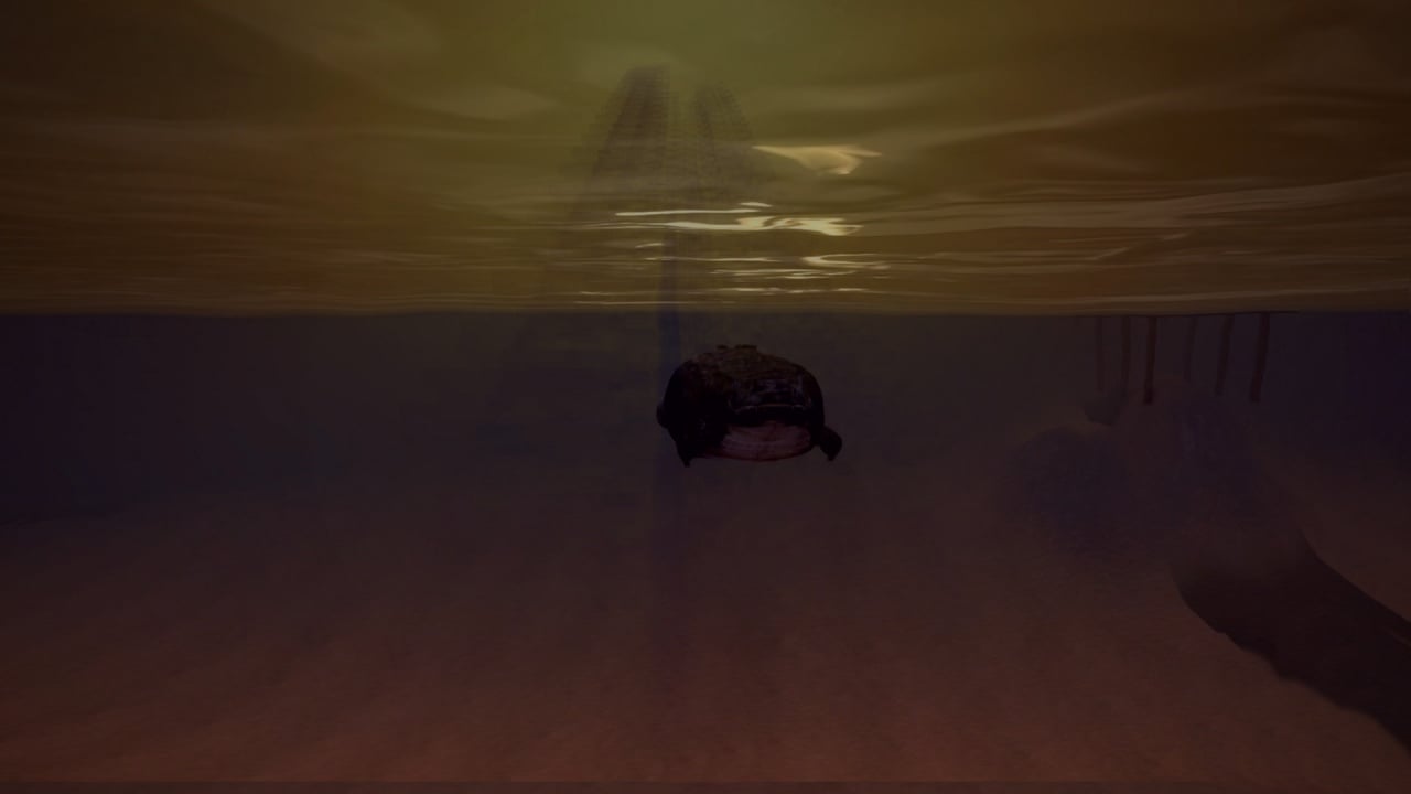 Скриншот Florida Simulator 1986