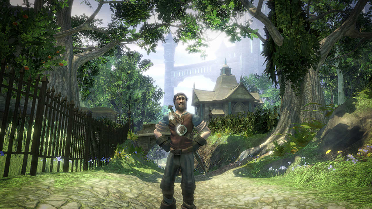 Скриншот Fable 2
