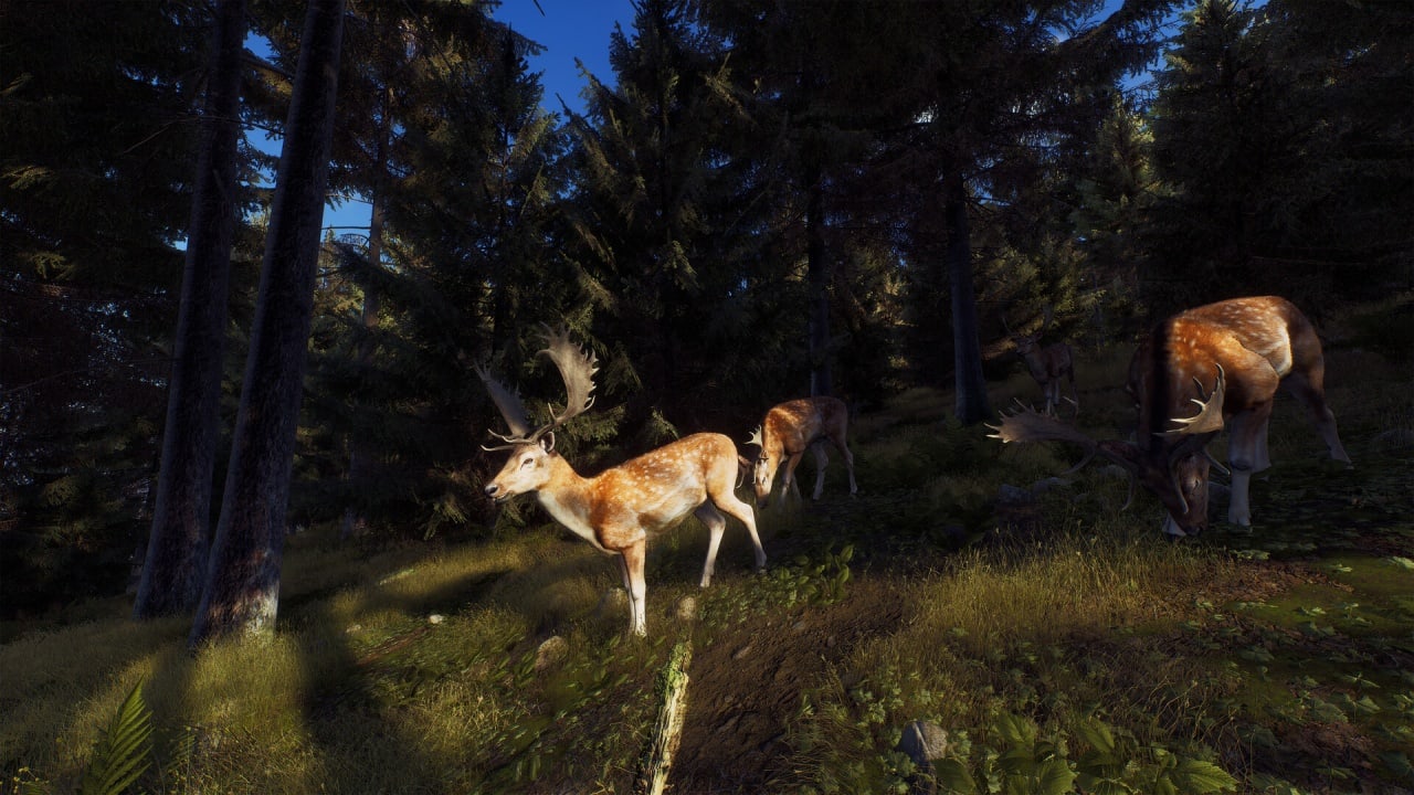 Скриншот Way of the Hunter