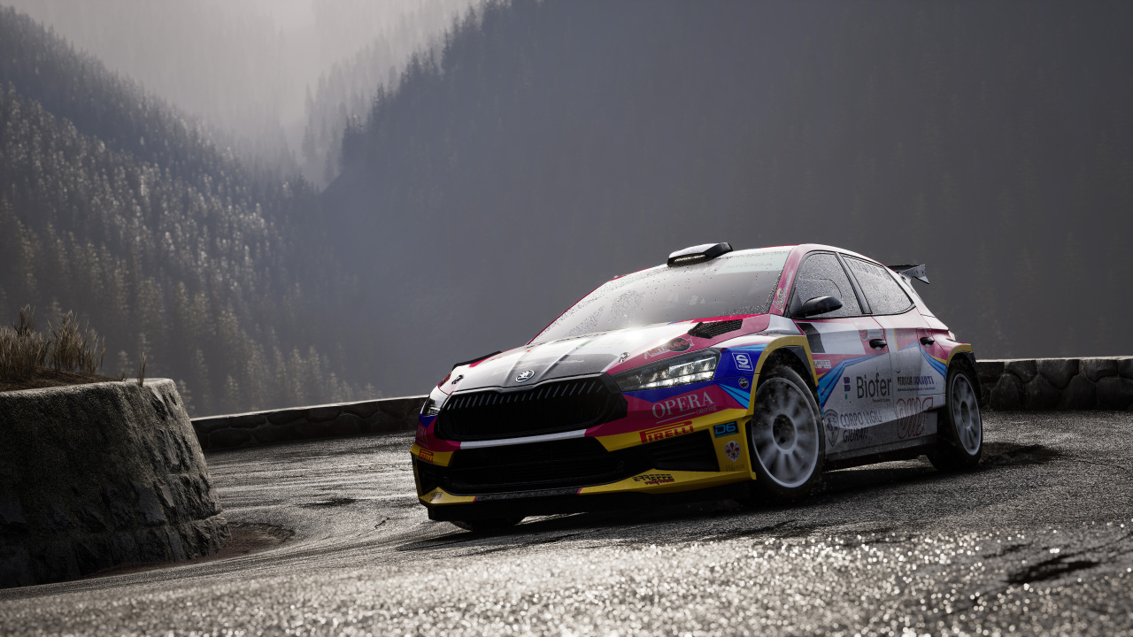 Скриншот Assetto Corsa Rally