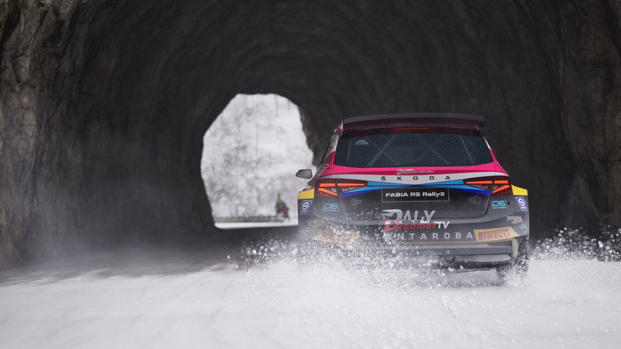 Скриншот Assetto Corsa Rally