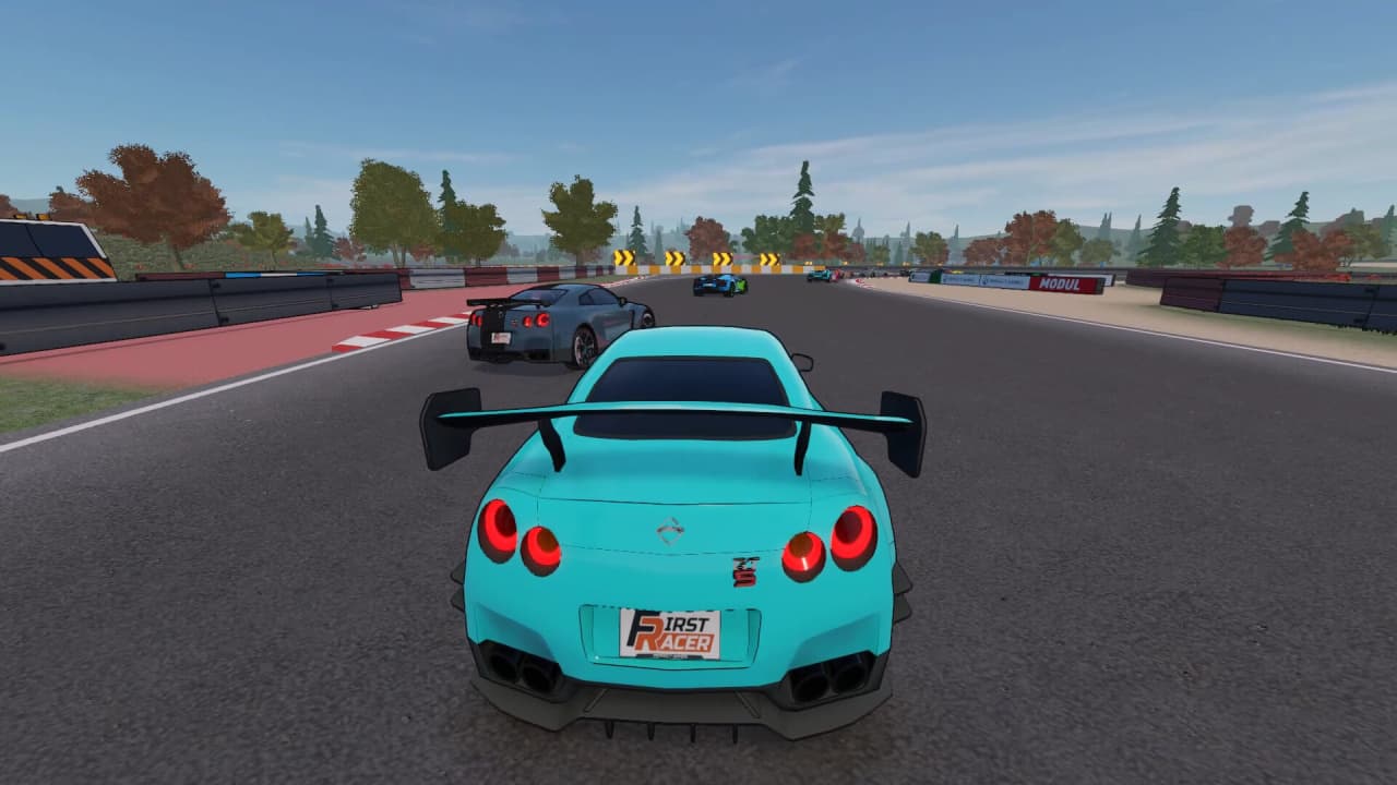 Скриншот First Racer
